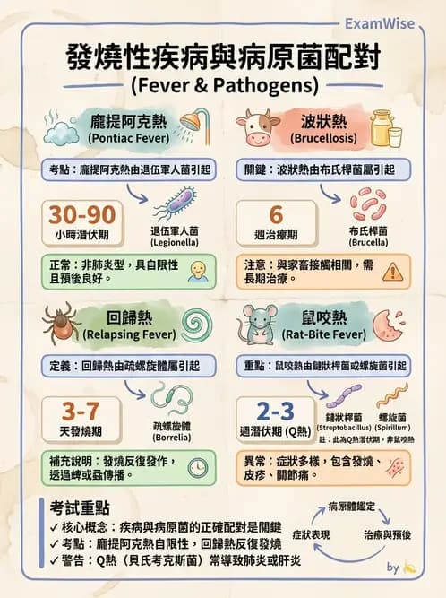 醫檢師 - 腸內菌鑑別方法與培養基 - AI 圖文解析預覽