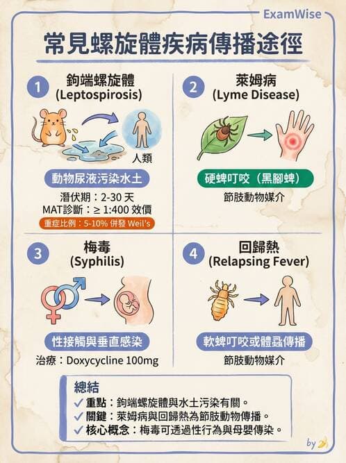 醫檢師 - 特殊病原體 - AI 圖文解析預覽