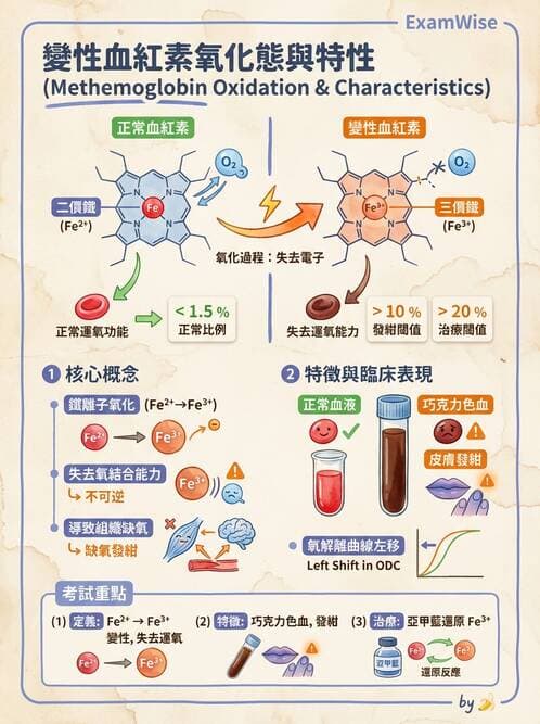 醫檢師 - 基本概念與儀器分析 - AI 圖文解析預覽
