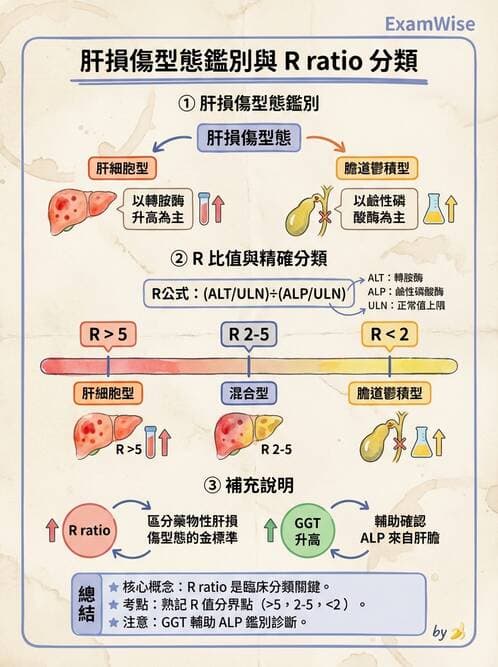 醫檢師 - 肝臟機能與胰臟酵素 - AI 圖文解析預覽
