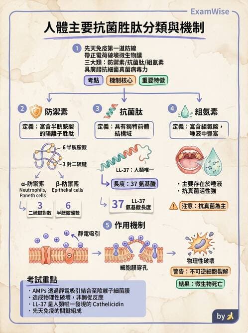 醫檢師 - 先天免疫與補體系統 - AI 圖文解析預覽