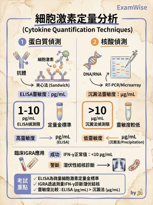 醫檢師 - 實驗室測試免疫法 - AI 圖文解析預覽