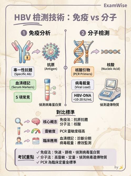 醫檢師 - 實驗室測試免疫法 - AI 圖文解析預覽