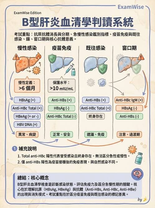 醫檢師 - 急性發炎蛋白與微生物感染血清學 - AI 圖文解析預覽