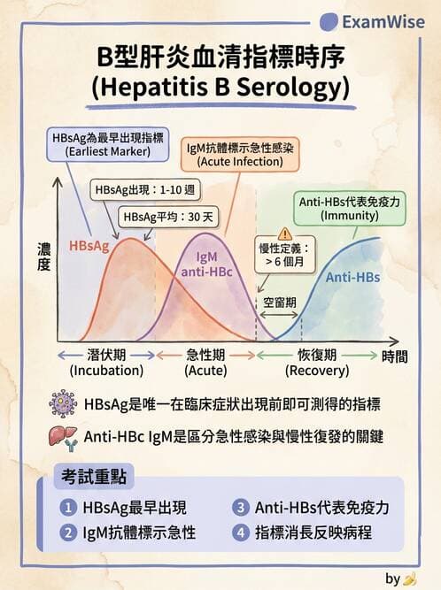 醫檢師 - 急性發炎蛋白與微生物感染血清學 - AI 圖文解析預覽
