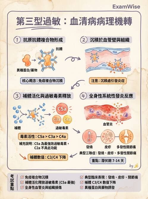 醫檢師 - 過敏反應及測試法 - AI 圖文解析預覽
