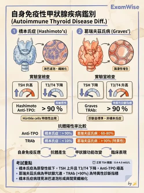 醫檢師 - 其他自體免疫疾病與自體抗體檢驗 - AI 圖文解析預覽