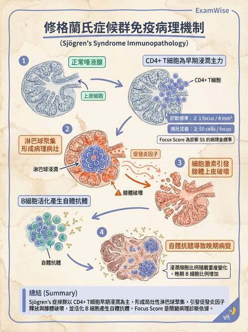 醫檢師 - 其他自體免疫疾病與自體抗體檢驗 - AI 圖文解析預覽