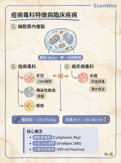 醫檢師 - 腺病毒與痘病毒 - AI 圖文解析預覽
