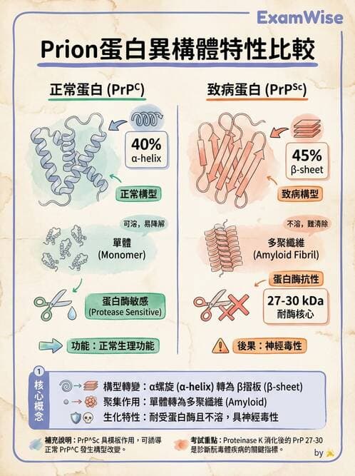 醫檢師 - 朊蛋白與其他DNA相關病原 - AI 圖文解析預覽