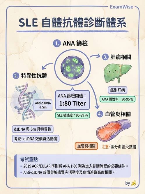 護理師 - 後天性免疫、免疫調節 - AI 圖文解析預覽