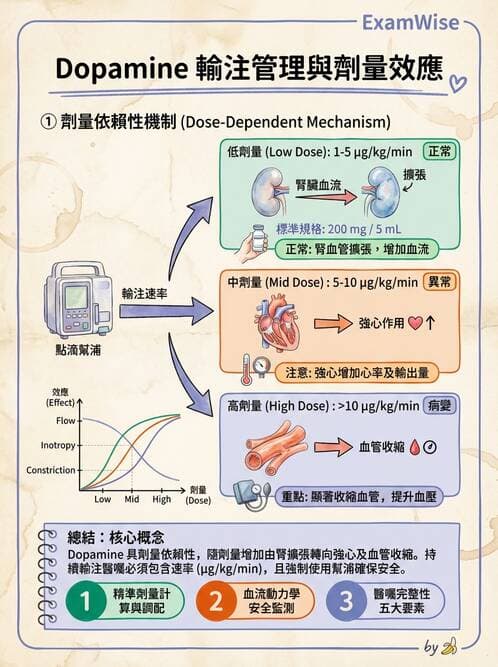 護理師 - 靜脈輸液與電解質平衡 - AI 圖文解析預覽