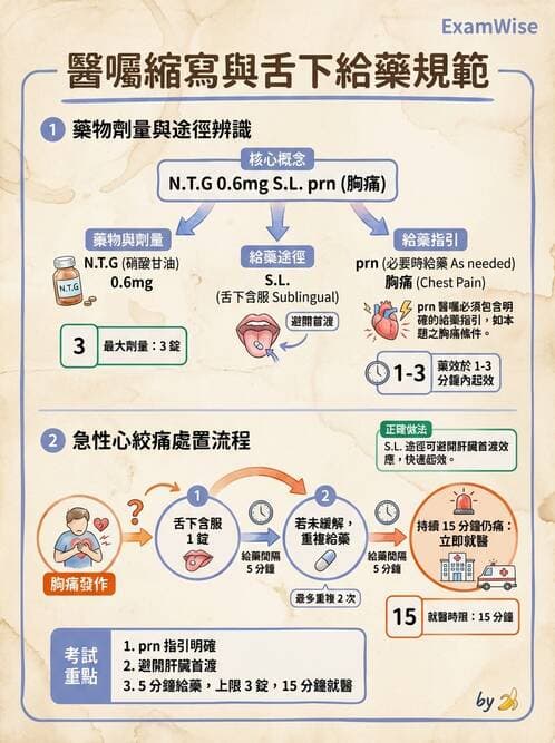 護理師 - 輸血與藥物計算 - AI 圖文解析預覽
