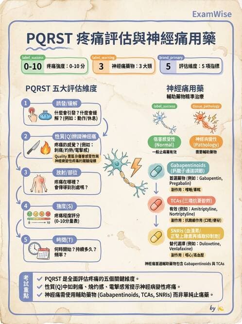 護理師 - 綜合評估與檢體採集 - AI 圖文解析預覽