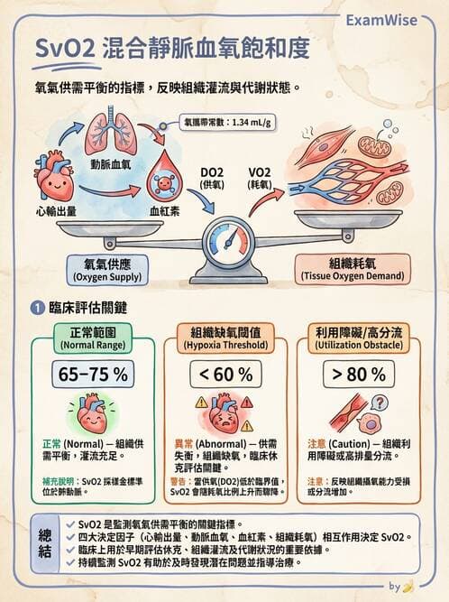 專師 - 高血壓與藥物治療 - AI 圖文解析預覽