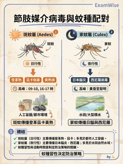 專師 - 法定傳染病與新興感染 - AI 圖文解析預覽