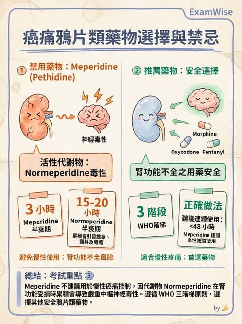 專師 - 疼痛控制與止痛藥物 - AI 圖文解析預覽