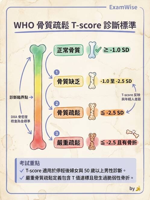 專師 - 骨折與骨質疏鬆 - AI 圖文解析預覽