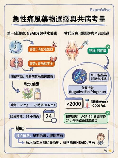 專師 - 風濕免疫疾病 - AI 圖文解析預覽