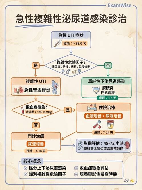 專師 - 泌尿道感染 - AI 圖文解析預覽