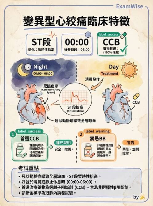 專師 - 心絞痛與穩定型冠心病 - AI 圖文解析預覽