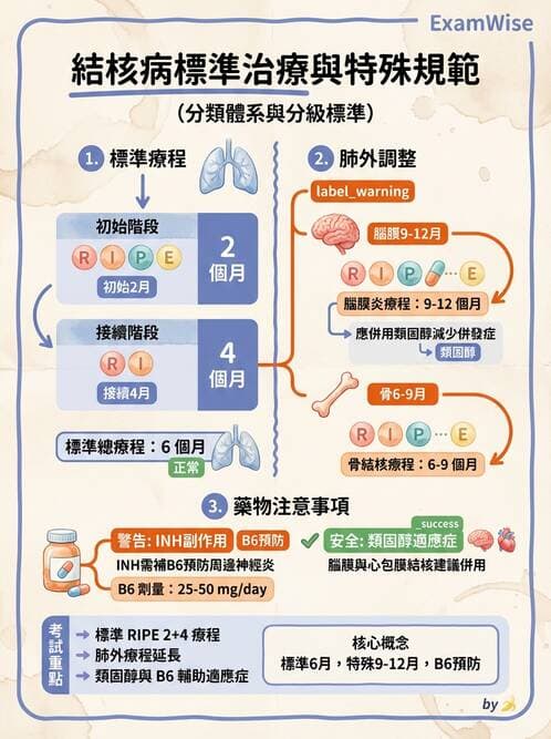 專師 - 結核病 - AI 圖文解析預覽