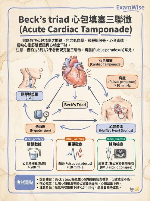 專師 - 心包膜與心肌疾病 - AI 圖文解析預覽