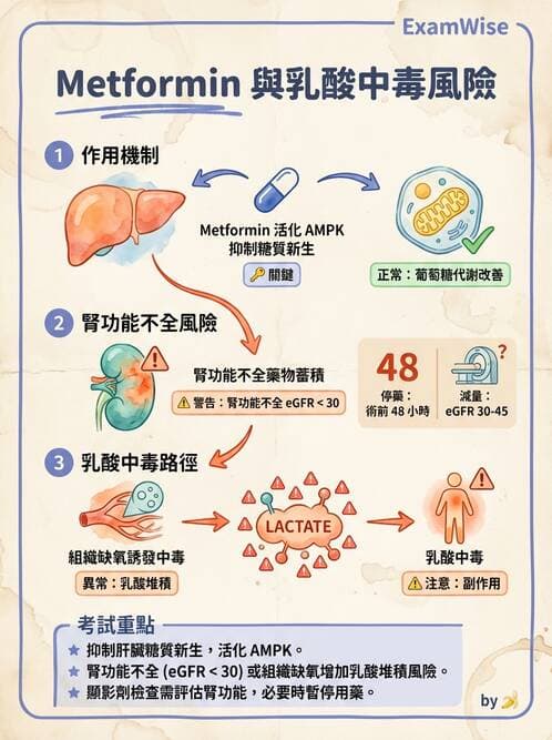 專師 - 降血糖藥物 - AI 圖文解析預覽