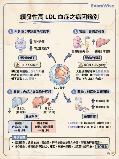 專師 - 代謝症候群與血脂 - AI 圖文解析預覽