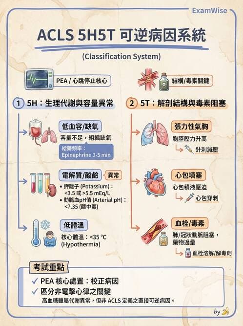 專師 - 急救藥物與特殊休克 - AI 圖文解析預覽