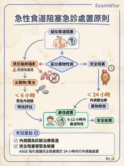 專師 - 上消化道 - AI 圖文解析預覽