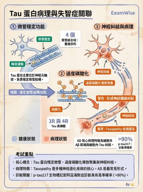 專師 - 神經退化與免疫疾病 - AI 圖文解析預覽
