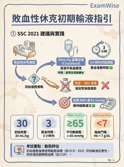 專師 - 敗血症治療與復甦指引 - AI 圖文解析預覽