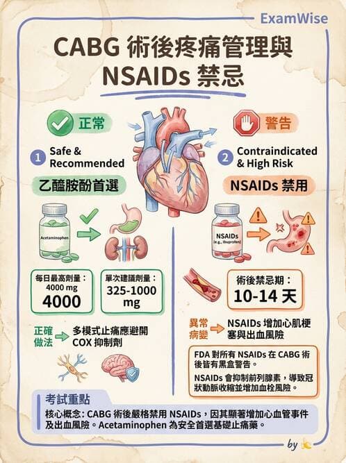 專師 - 心臟外科與介入 - AI 圖文解析預覽