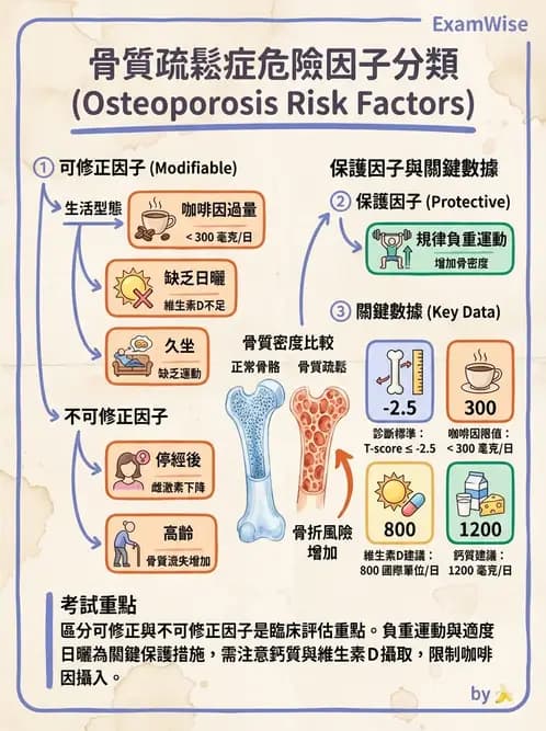 護理師 - 關節疾病與骨科手術 - AI 圖文解析預覽