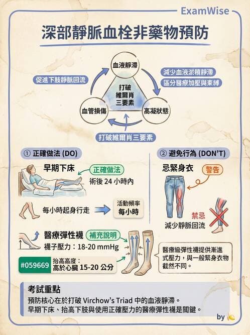 護理師 - 高血壓與周邊血管疾病 - AI 圖文解析預覽