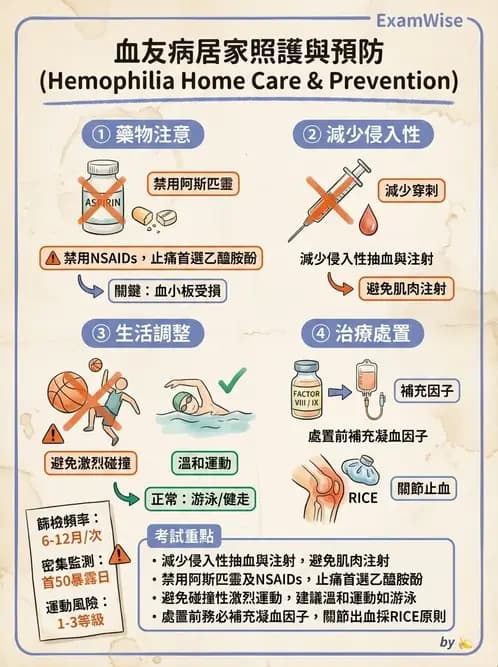 護理師 - 貧血與凝血疾病 - AI 圖文解析預覽