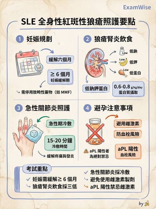 護理師 - 自體免疫疾病與過敏反應 - AI 圖文解析預覽