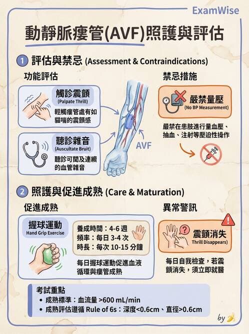 護理師 - 透析、電解質與酸鹼平衡 - AI 圖文解析預覽