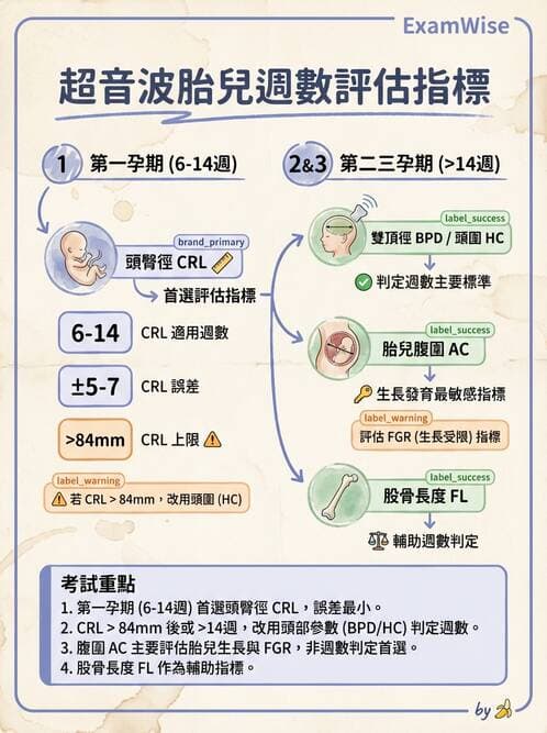 護理師 - 胎兒發育與監測評估 - AI 圖文解析預覽
