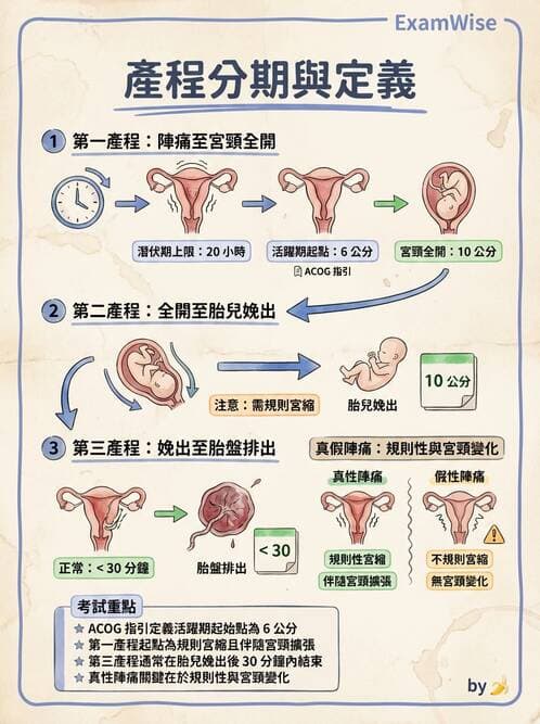 護理師 - 產程機轉與待產護理 - AI 圖文解析預覽