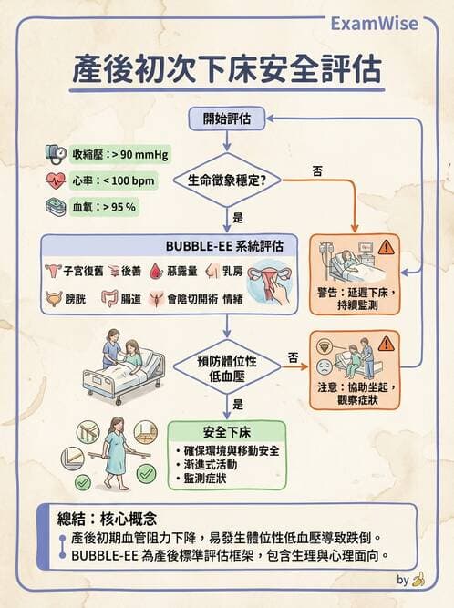 護理師 - 產後生理恢復與護理 - AI 圖文解析預覽
