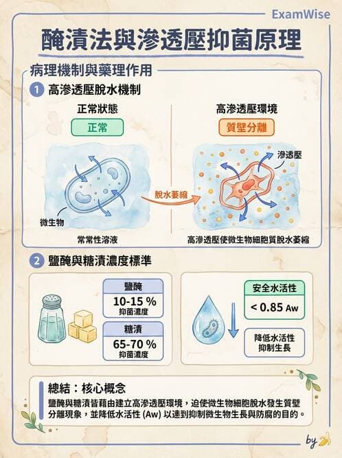 護理師 - 環境衛生與護理 - AI 圖文解析預覽
