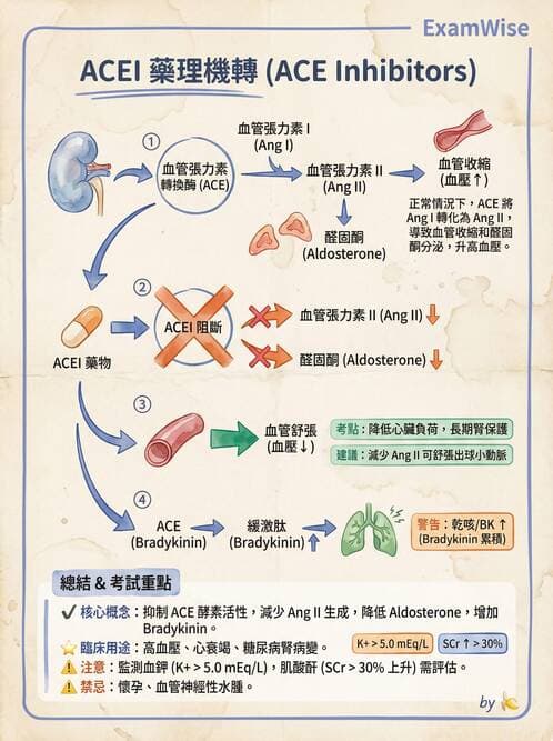 護理師 - 抗高血壓與血管藥物 - AI 圖文解析預覽