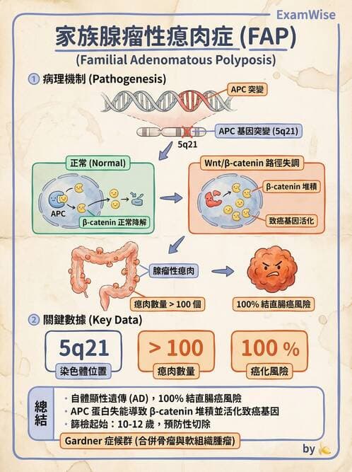 護理師 - 腫瘤及遺傳疾病 - AI 圖文解析預覽