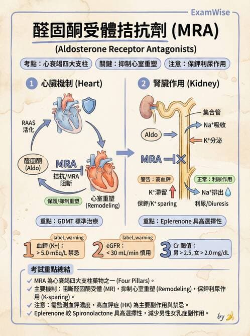 護理師 - 抗高血壓與血管藥物 - AI 圖文解析預覽