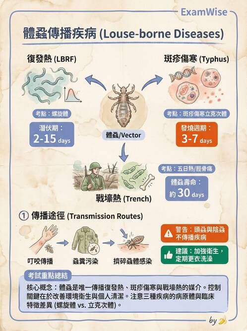 護理師 - 其他細菌 - AI 圖文解析預覽