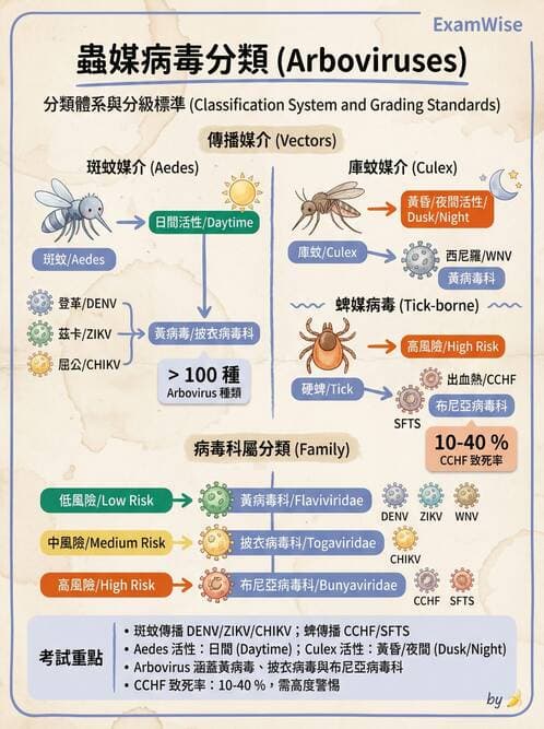 護理師 - RNA 病毒、新興病毒 - AI 圖文解析預覽