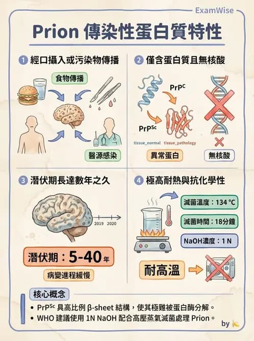 護理師 - 病毒學概念、prion - AI 圖文解析預覽
