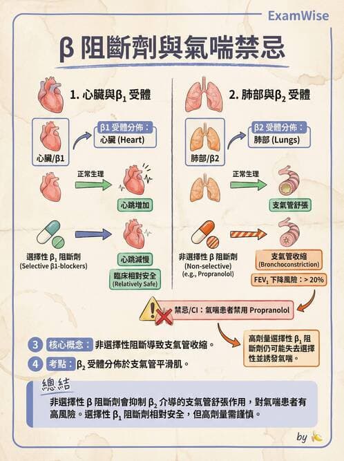 護理師 - 抗高血壓與血管藥物 - AI 圖文解析預覽